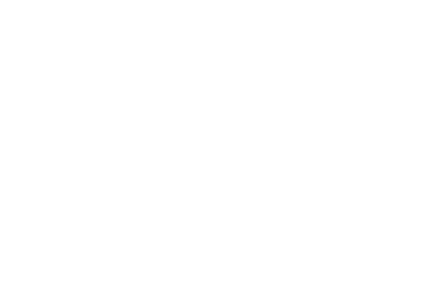 Risk Pro logo negativo